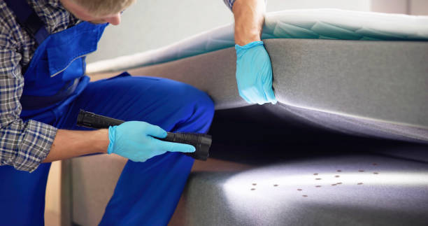 Best Affordable Pest Control Services  in Chandler, OK